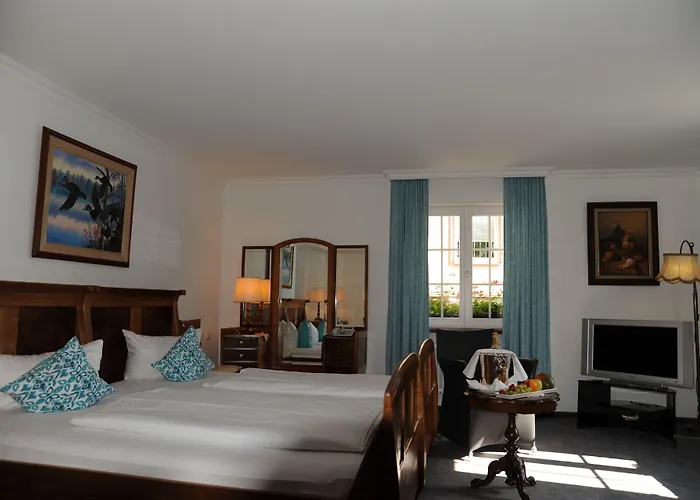 Hotel Adler - Weil am Rhein / Basel